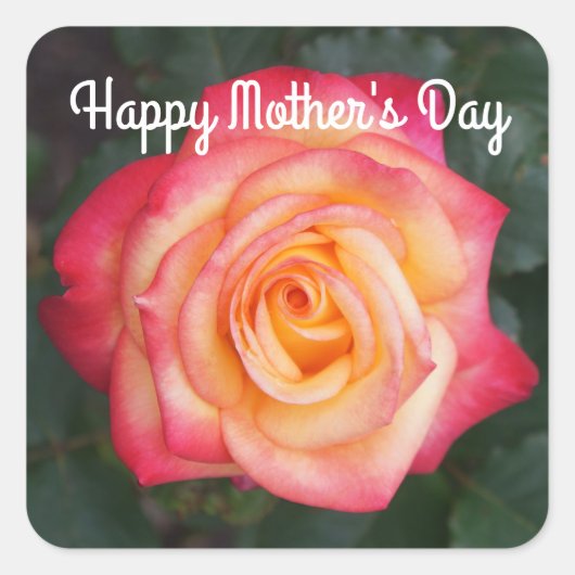 ハッピーマザーデイドリーム真来のバラ#1シール スクエアシール (正面)