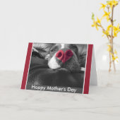 ハッピーマザーデイピットブルグリーティングカード カード (黄色い花)