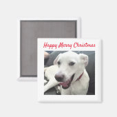 ハッピーメリークリスマスおもしろい笑顔の犬の休日 マグネット (正面/裏面)