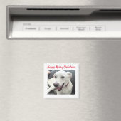 ハッピーメリークリスマスおもしろい笑顔の犬の休日 マグネット (インサイチュ (食洗機))