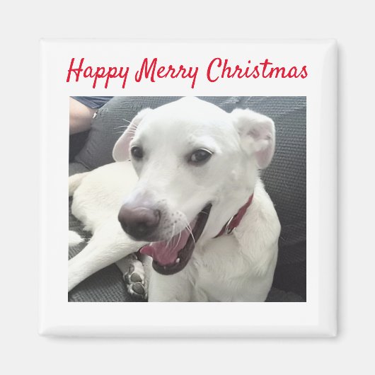 ハッピーメリークリスマスおもしろい笑顔の犬の休日 マグネット (正面)
