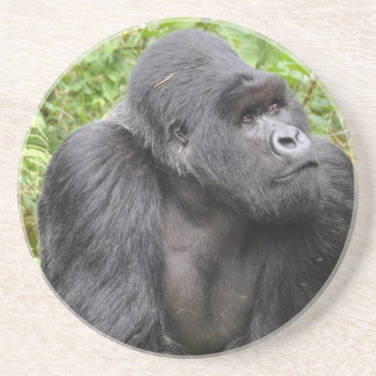 ハッピーモンキー コースター (正面)