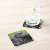 ハッピーモンキー コースター (右側)