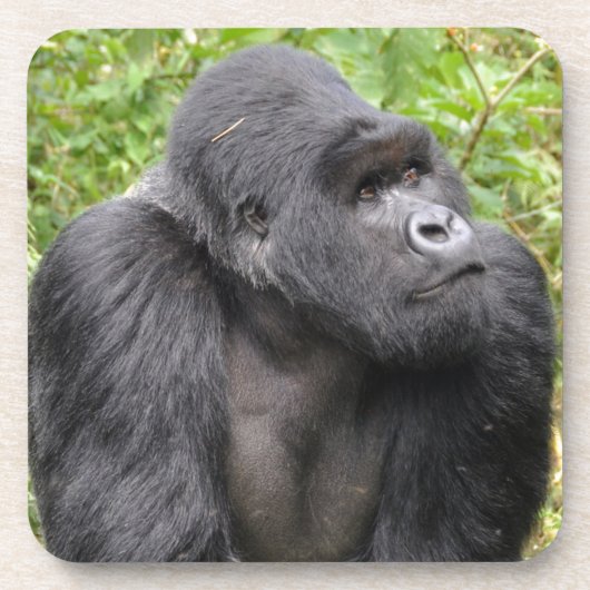 ハッピーモンキー コースター (正面)