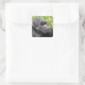 ハッピーモンキー スクエアシール (バッグ)