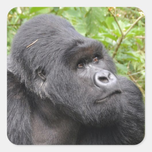 ハッピーモンキー スクエアシール (正面)