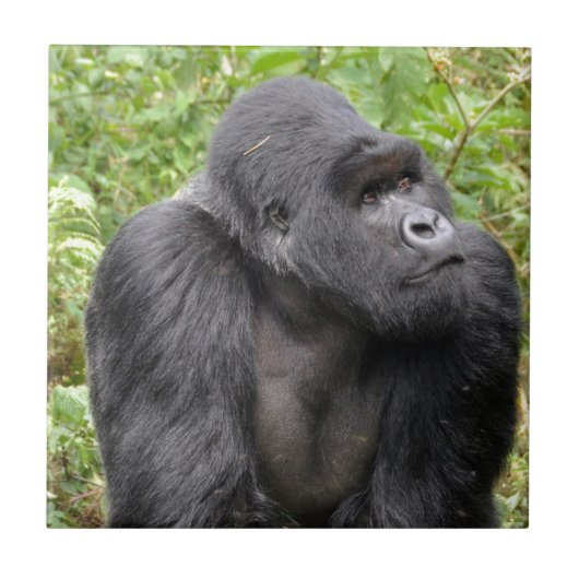 ハッピーモンキー タイル (正面)