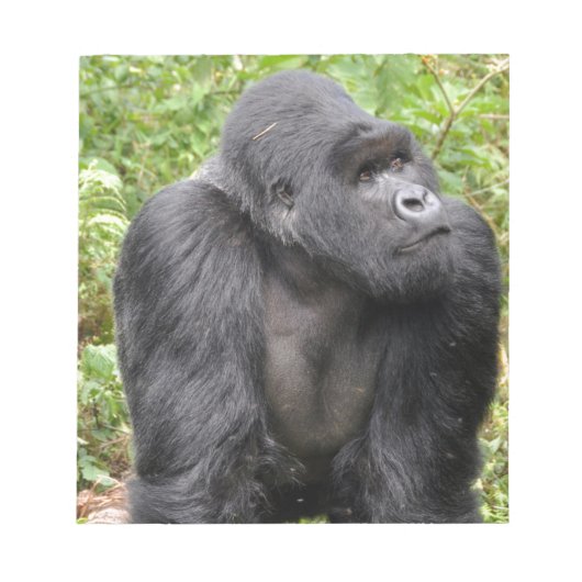 ハッピーモンキー ノートパッド (正面)