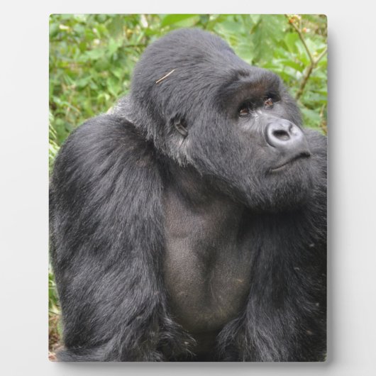 ハッピーモンキー フォトプラーク (正面)