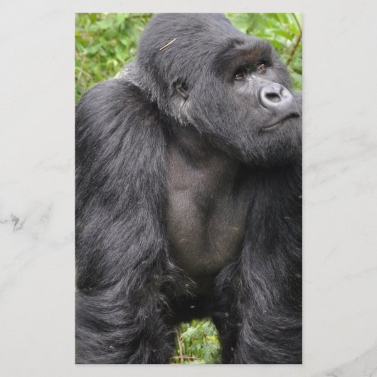 ハッピーモンキー 便箋 (正面)