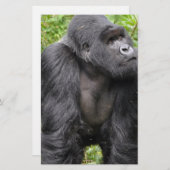 ハッピーモンキー 便箋 (正面/裏面)