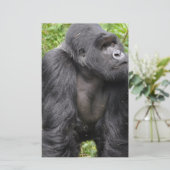 ハッピーモンキー 便箋 (スタンド正面)