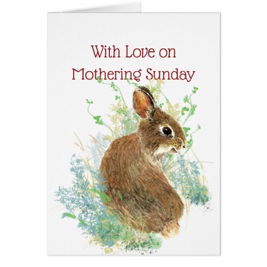 ハッピーモーザリング空白のサンデーかわいいウサギ (正面)