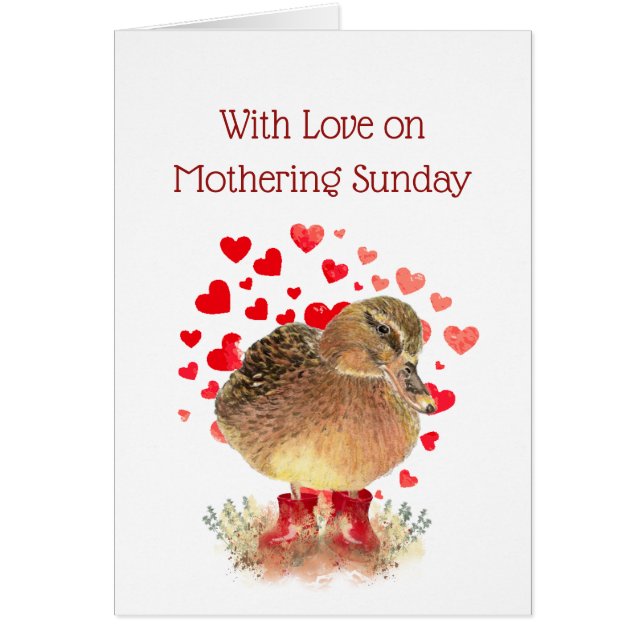 ハッピーモーザリング空白のサンデーかわいいダックレッドブーツ (正面)