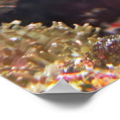 ハッピーモーレイクリーニング ポスター (角)