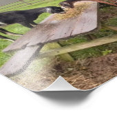 ハッピーヤギと夕暮れ フォトプリント            (角)