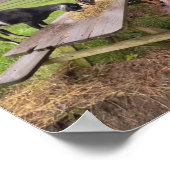 ハッピーヤギと夕暮れ ポスター (角)