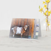 ハッピーヤギのノートカード カード (黄色い花)