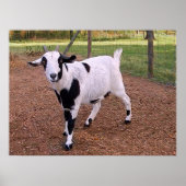 ハッピーヤギ ポスター (正面)