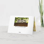 ハッピーラクーンホリデーカード シーズンカード (裏面)