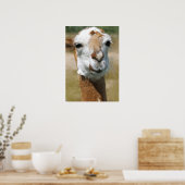 ハッピーラマ絵を描の効果 ポスター (キッチン)