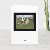 ハッピーラマ・グリーティング カード (裏面)