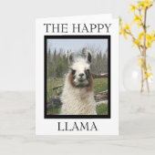 ハッピーラマ・グリーティング カード (黄色い花)