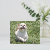 ハッピーランニングシーズー(犬)ツー ポストカード (スタンド正面)