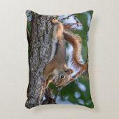 ハッピーリス アクセントクッション (正面(垂直))