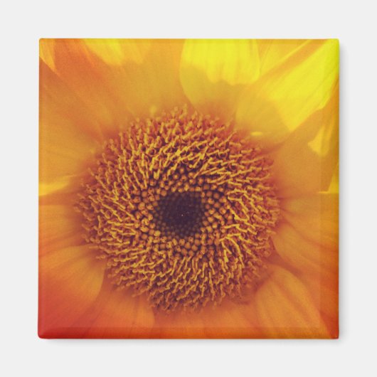 ハッピーリトルフラワーマグネット マグネット (正面)