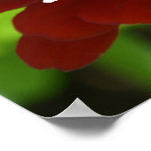 ハッピーレッドフラワー ポスター (角)