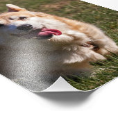 ハッピーレディ（コルギ）クローズアップ フォトプリント            (角)