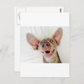 ハッピーワイマラナー ポストカード (正面/裏面)