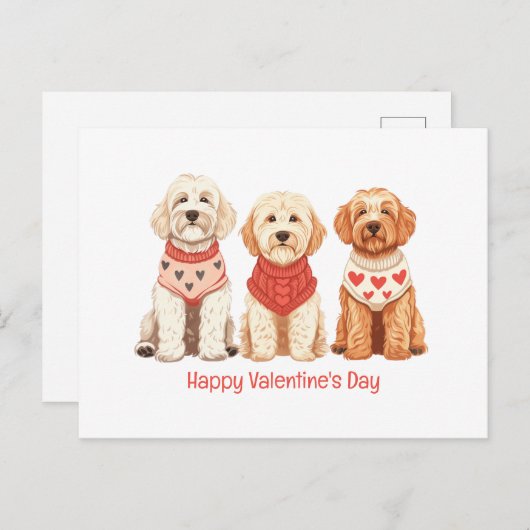ハッピーヴァレンティーンズデイゴールデンドールドードルドッグス シーズンポストカード (正面/裏面)