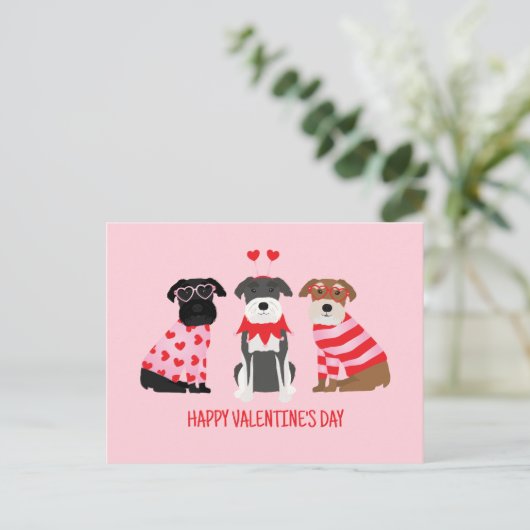 ハッピーヴァレンティーンズデイシュナウザードッグス シーズンポストカード (スタンド正面)