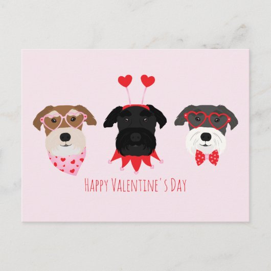 ハッピーヴァレンティーンズデイシュナウザードッグス ポストカード (正面)