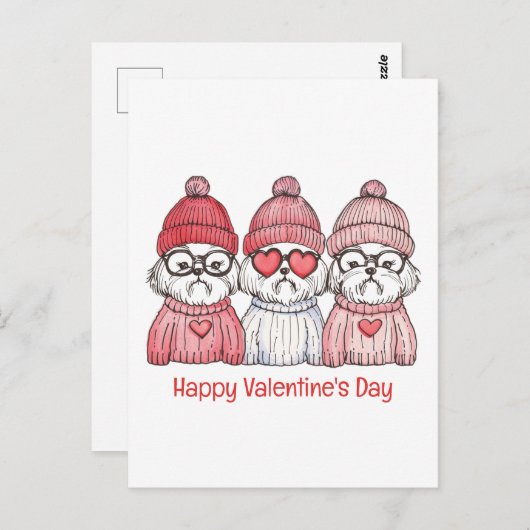 ハッピーヴァレンティーンズデイシーズー(犬)ズドッグス ポストカード (正面/裏面)