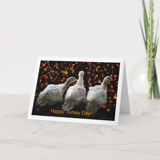 ハッピー七面鳥の日 シーズンカード (正面)