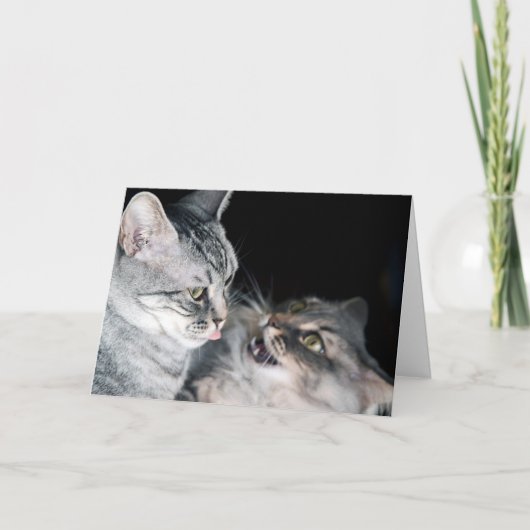 ハッピー兄弟姉妹デー！ カード (正面)