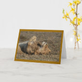 ハッピー子猫 カード (黄色い花)