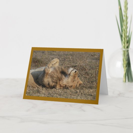 ハッピー子猫 カード (正面)