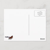 ハッピー春ピンクフラップス ポストカード (裏面)