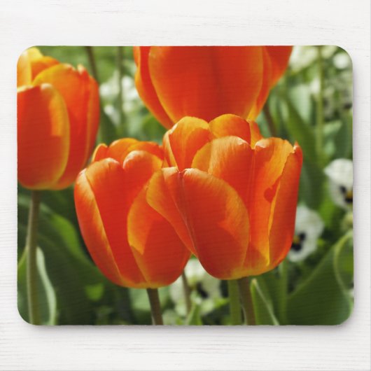 ハッピー春マウスパッド マウスパッド (正面)