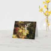 ハッピー春! カード (黄色い花)