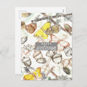 ハッピー秋のアコランズリチェン蝶の水色 シーズンポストカード (正面/裏面)