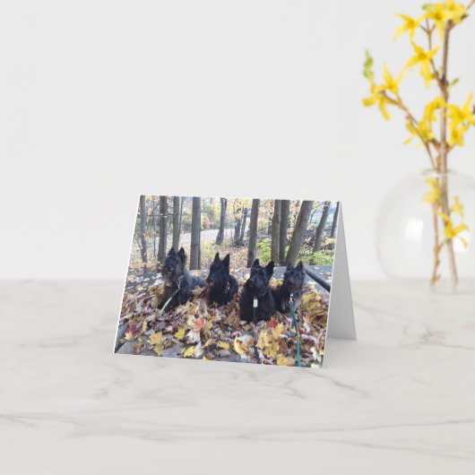 ハッピー秋カード カード (黄色い花)