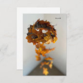 ハッピー秋モバイル ノートカード (正面/裏面)