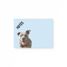 ハッピー笑顔ピットブル