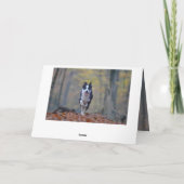 ハッピー縁どコリー犬の誕生日カード カード (裏面)