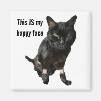 ハッピー顔 マグネット